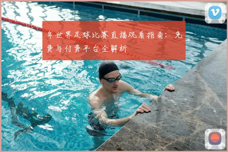 年世界足球比赛直播观看指南:免费与付费平台全解析