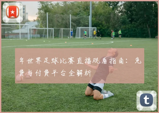 年世界足球比赛直播观看指南:免费与付费平台全解析