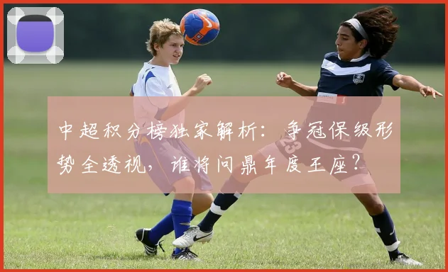 中超积分榜独家解析：争冠保级形势全透视，谁将问鼎年度王座？